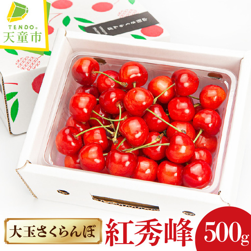 大玉 さくらんぼ ( 紅秀峰 ) 500g 山形 08-06-021