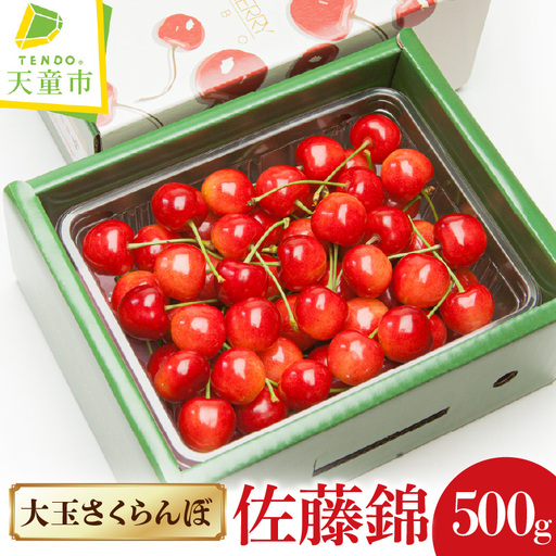 大玉 さくらんぼ ( 佐藤錦 ) 500g 山形 08-06-022