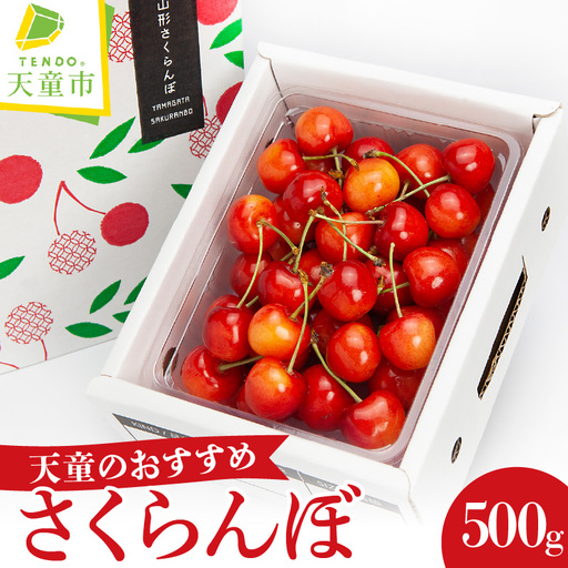 天童 のおすすめ さくらんぼ 500g 山形 08-06-045