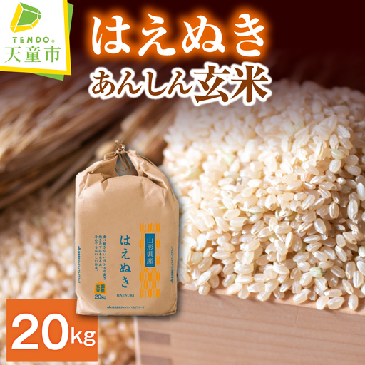 【8月中旬発送】令和7年産 【 あんしん玄米 】 はえぬき 20kg 米 玄米 山形 08-01-219-08B