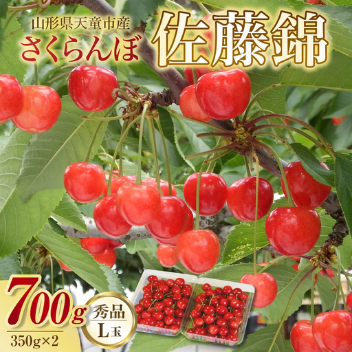 さくらんぼ ( 佐藤錦 ) 700g さくらんぼ 08-02-015