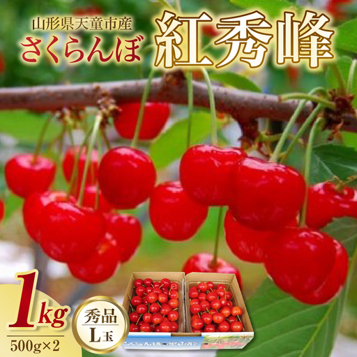 さくらんぼ ( 紅秀峰 ) 1kg さくらんぼ 08-02-021