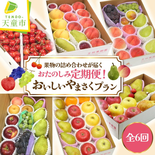 おいしいやまさくプラン 全6回 定期便 08-03-045
