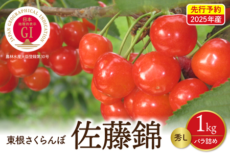 【先行予約】2025年産 GI東根さくらんぼ佐藤錦 秀L 1kgバラ詰め(500g×2P) 株式会社晴天畑提供 hi026-002-1 果物 くだもの フルーツ さくらんぼ サクランボ チェリー 佐藤錦 お取り寄せ グルメ ご当地 産地直送 送料無料 東北 山形県 東根市