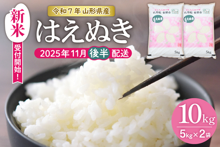[令和7年産米]★2025年11月後半発送★はえぬき 10kg(5kg×2袋)山形県 東根市産 hi002-032-113-1 お米 精米 白米 2025年 ブランド ご飯 おにぎり 弁当 小分け 便利 個包装 お取り寄せ グルメ ご当地 特産 産地直送 送料無料 東北 山形県 東根市