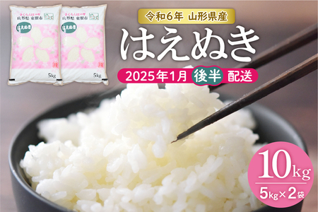 [令和6年産]はえぬき10kg (2025年1月後半送付)JA提供 山形県 東根市 hi002-028-013-1 お米 米 精米 白米 2024年産 ブランド ご飯 おにぎり 弁当 小分け 便利 個包装 お取り寄せ グルメ ご当地 特産 産地直送 送料無料 東北 山形県 東根市