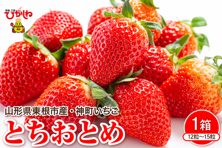 [令和7年産 先行予約]神町いちご(とちおとめ)12粒〜15粒 山形県 東根市 hi069-007-1 いちご 用途 大粒 贈答 生産量 苺 イチゴ 人気 数量限定 果物 くだもの 産地直送 期間限定 特産品 お取り寄せ グルメ 旬 冬 東北 山形県 東根市 送料無料 ふるさと納税 人気