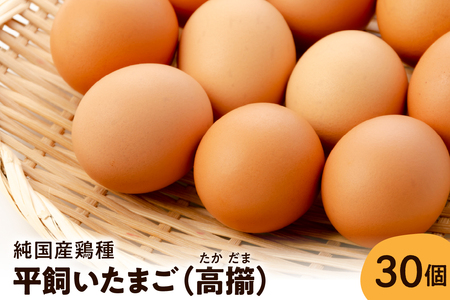 [山形県東根市産] 平飼いたまご 高擶 30個入 (破損補償含む) 半澤鶏卵提供 山形 東根 hi071-001 栄養たっぷり30個 半澤 鶏卵 送料無料 山形 県 黄身 白身 弾力 濃厚 産みたて たまごかけ 卵かけ ごはん ご飯 TKG 親子丼 オムレツ 朝食 美味しい 栄養 たんぱく質 人気 ふるさと納税