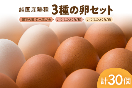 [山形県東根市産] 3種の卵セット[出羽の郷名水赤がら]・[いではのさくら 桜]・[いではさくら 白](破損補償含む) 半澤鶏卵 山形 東根 hi071-004 栄養たっぷり30個 半澤 鶏卵 ブランド 送料無料 山形 県 黄身 白身 弾力 濃厚 産みたて たまごかけ 卵かけ ごはん ご飯 TKG 親子丼 オムレツ 朝食 美味しい 栄養 たんぱく質 人気 ふるさと納税