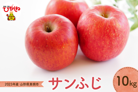 2023年産 りんご「サンふじ」10kg JA提供　P-2349