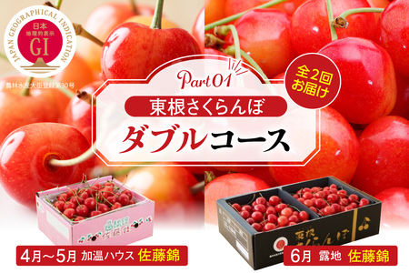 [2025年産 先行予約]東根さくらんぼ ダブルコース (佐藤錦加温500g、佐藤錦露地900g) 山形県 東根市 hi001-035-1 ふるさと納税 さくらんぼ サクランボ フルーツ 果物 期間限定 先行予約 先行受付 東北 山形 東根市 ハウス栽培 人気 露地 加温ハウス