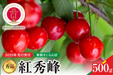 [2025年産 先行予約]紅秀峰 秀品 500g 山形県 東根市 hi004-hi062-040-1 令和7年産 ふるさと納税 さくらんぼ サクランボ 紅秀峰 フルーツ 果物 くだもの 期間限定 冷蔵配送 先行予約 箱入り Lサイズ 取り寄せ グルメ ご当地 特産 産地 直送 送料無料 東北 山形 東根市