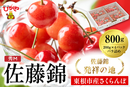 2025年 山形県東根市産さくらんぼ「佐藤錦」800g(200g×4パック) 東根農産センター提供 hi027-173-1 (山形県 東根市 果物 フルーツ サクランボ さくらんぼ 紅秀峰 くだもの 期間限定 冷蔵配送 先行予約 令和7年産 取り寄せ グルメ ご当地 特産直送 送料無料 ふるさと納税)