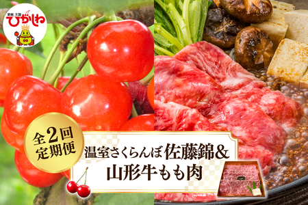 [2025年 先行予約]温室さくらんぼ佐藤錦&山形牛もも肉 全2回定期便 (2025年4月からスタート) 山形県 東根市 hi026-017-1 果物 フルーツ くだもの さくらんぼ 佐藤錦 温室栽培 お試し お取り寄せ グルメ 旬 お取り寄せグルメ 期間限定 産地直産 ご当地 東北 山形県 東根市 牛肉 山形牛 定期便 バーベキューBBQ 国産 国産牛