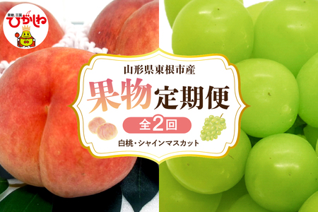 [2025年先行予約 全2回 定期便]東根市産 桃、シャインマスカット 果物定期便 (玉数、房数お任せ) hi074-004-1