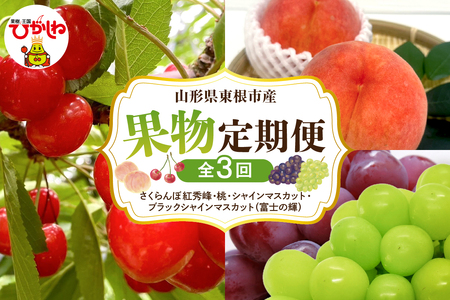 [2025年先行予約 全3回 定期便]東根市産 GI東根さくらんぼ、白桃、シャインマスカットとブラックシャインマスカット「富士の輝」詰め合わせ 果物定期便 hi074-005-1