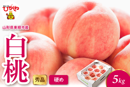 2025年産 白桃（硬め） 5kg 秀品 山形県 東根市 hi082-014-1 山形県 ヤマガタケン やまがたけん 東根市 ヒガシネシ ひがしねし フルーツ 果物 くだもの クダモノ もも 桃 白桃 ピーチ 品種お任せ 柔らかめ 2025年産 令和7年 先行予約 人気 ふるさと納税