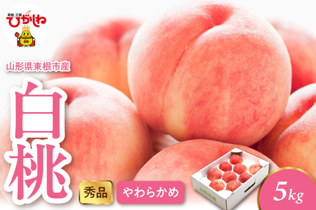 2026NY i_炩߁j 5kg Gi R` s hi082-050 R` }K^P ܂ s qKVlV Ђ˂ t[c ʕ  N_m    s[` i킨C