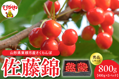 [令和7年産]佐藤錦秀品Lサイズ400g×2P 山形県 東根市 有限会社motto提供 hi090-001-1 令和7年産 2025年 ふるさと納税 さくらんぼ サクランボ フルーツ 果物 くだもの 期間限定 冷蔵配送 先行予約 先行受付 バラ 取り寄せ グルメ ご当地 特産 産地 直送 送料無料 東北 山形 東根市 人気