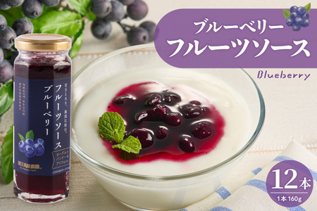 フルーツソース160g ブルーベリー(12本)和歌山産業提供 hi070-010 ブルーベリー フルーツ 果物 クダモノ くだもの ソース パン ヨーグルト ご当地 グルメ お取り寄せ 送料無料 山形県 東根市 ふるさと納税 人気