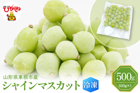 [瞬間冷凍]東根市産 シャインマスカット 大容量 500g 東根農産センター提供 hi027-246 山形県 東根市 果樹王国 フルーツ 果物 ぶどう シャインマスカット 500グラム 冷凍果物 お取り寄せ グルメ 送料無料 ふるさと納税