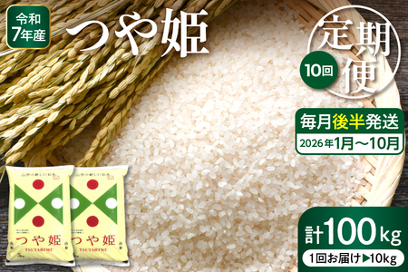 y2026N1X^[gz ʍ͔|ĂP10kg×10( 㔼)ցy[Xzhi053-035 s\ 2025N ߘa7NY R`  k     uh ͂  ɂ