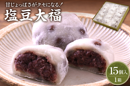 塩豆大福 15ヶ入 山形県 東根市 松扇堂提供 hi040-004 餅 もち モチ 豆 小豆 赤えんどう豆 和菓子 お菓子 餅類 ご褒美 おやつ 手作り ふるさと納税 山形県 東根市 人気