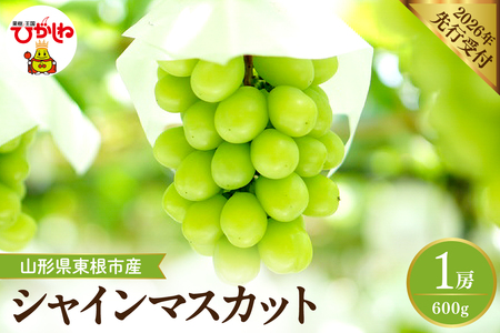 �y2026�N�Y��s�\��z �V���C���}�X�J�b�g ��600g (1�[��) �R�`�� �����s hi026-053�@�i�Ԃǂ� �}�X�J�b�g �V���C���}�X�J�b�g 1�[ �t���[�c �ʕ� �������� �Y�n���� ���Ԍ��� ���Y�i ������