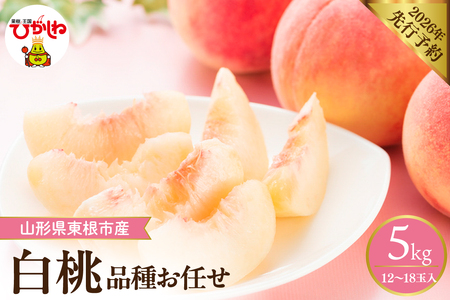 y2026NYs\z ̂ꂽĔ(i킨C) 5kg (12`18) R` s@hi026-056i   t[c ʕ  Yn Ԍ Yi  O { k R`