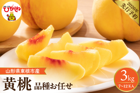 y2026NYs\z@̂ꂽĉ(i킨C) 3kg (7`12)V R` s hi026-057i   t[c ʕ  Yn Ԍ Yi  O { 