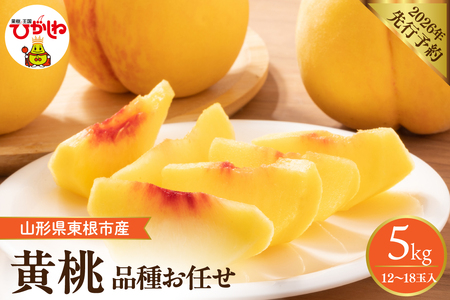 �y2026�N�Y��s�\��z�@�̂ꂽ�ĉ���(�i�킨�C��) ��5kg (12�`18��)���V���� �R�`�� �����s hi026-058�i���� �� ���� �t���[�c �ʕ� �������� �Y�n���� ���Ԍ��� ���Y�i ������ �O���� �{ ��