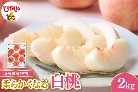 �y�ߘa8�N�Y��s��t�z �����s�Y�����@�G�i �_�炩���Ȃ铍 ��2kg �x�W�t���Ђ����� �R�`�� �����s hi104-004 �i���� �� ���� �_�炩�� ���炩�� �t���[�c �ʕ� �������� �Y�n���� ���Ԍ���