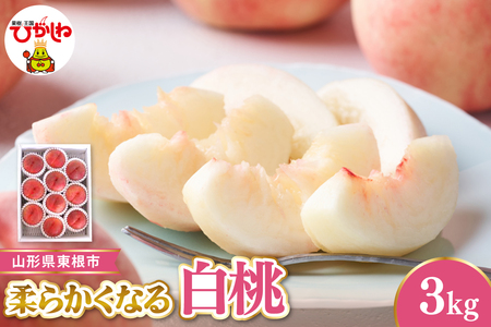 �y�ߘa8�N�Y��s��t�z �����s�Y�����@�G�i �_�炩���Ȃ铍 ��3kg �x�W�t���Ђ����� �R�`�� �����s hi104-005 �i���� �� ���� �_�炩�� ���炩�� �t���[�c �ʕ� �������� �Y�n���� ���Ԍ���