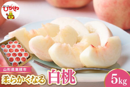 �y�ߘa8�N�Y��s��t�z �����s�Y�����@�G�i �_�炩���Ȃ铍 ��5kg �x�W�t���Ђ����� �R�`�� �����s hi104-006 �i���� �� ���� �_�炩�� ���炩�� �t���[�c �ʕ� �������� �Y�n���� ���Ԍ���