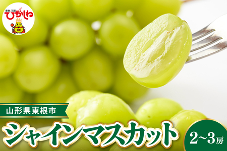 �y�ߘa8�N�Y��s��t�z �����s�Y�V���C���}�X�J�b�g ��1.2~1.3kg(2~3�[��) �x�W�t���Ђ����� �R�`�� �����s hi104-002 �i�Ԃǂ� �}�X�J�b�g �V���C���}�X�J�b�g �t���[�c �ʕ� �������� �Y�n����