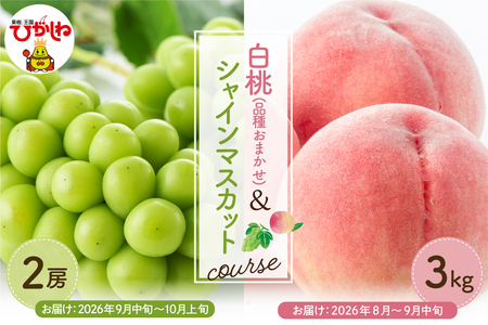 [2026年先行予約 2回 定期便]東根市 果物定期便 もも シャインマスカット(白桃品種お任せ3kg、シャインマスカット2房)山形県 東根市 hi003-159