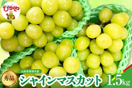 �y2026�N�Y�z�V���C���}�X�J�b�g �G�i ��1.5kg �R�`�� �����s ���I�� hi062-065�@�i�R�`�� �����s ���k �ʕ� �t���[�c �������� �Ԃǂ� �V���C���}�X�J�b�g �V���C�� ���Ԍ��� �①�z�� ��s��