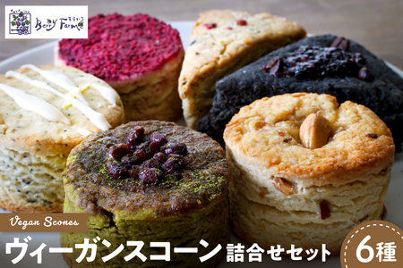 ヴィーガンスコーン6種類詰合せセット 朝食 便利 ぐるめ 食べ比べ セット 詰め合わせ おやつ パン 食品 そらいろ Berry Farm提供 山形県 東根市 hi094-001