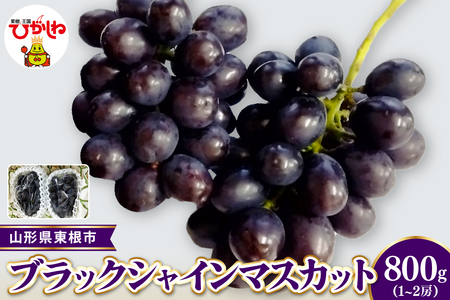 [2026年産 先行受付]東根市産ブラックシャインマスカット 秀品 約800g(1〜2房) ベジフルひがしね 山形県 東根市 hi104-008(ぶどう マスカット シャインマスカット ブラック フルーツ 果物 くだもの 産地直送 期間限定 特産品 お取り寄せ グルメ 旬 東北 山形県 送料無料 ふるさと納税)