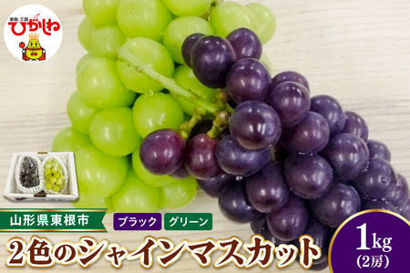 [2026年産 先行受付]東根市産2色のシャインマスカット ブラック&グリーン 秀品 計2房 ベジフルひがしね 山形県 東根市 hi104-009(ぶどう マスカット シャインマスカット ブラック フルーツ 果物 くだもの 産地直送 期間限定 特産品 お取り寄せ グルメ 旬 東北 山形県 送料無料 ふるさと納税)