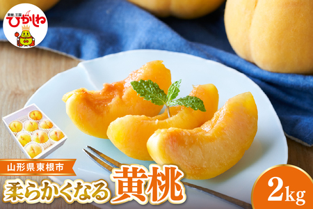 [2026年産 先行受付] 東根市産黄桃 秀品 柔らかくなる桃 約2kg ベジフルひがしね 山形県 東根市 hi104-010(もも 桃 黄桃 柔らかい やわらかめ フルーツ 果物 くだもの 産地直送 期間限定 特産品 お取り寄せ グルメ 旬 東北 山形県 送料無料 ふるさと納税)