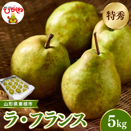 【2026年産】ラ・フランス約5kg(玉数おまかせ)特秀品 ラフランス