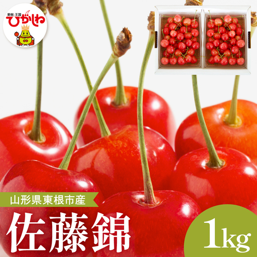 [2026年産]さくらんぼ「佐藤錦」秀品 1kgバラ詰め (500g×2パック) Lサイズ以上 安達農園提供 山形県 東根市 hi037-013 (フルーツ 果物 くだもの クダモノ サクランボ 佐藤錦 2026年産 令和8年 人気 ふるさと納税 ヤマガタケン やまがたけん ヒガシネシ ひがしねし)