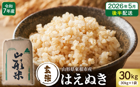 [令和7年産]※2026年5月後半発送※ 玄米 はえぬき30kg 山形県 東根市産 深瀬商店提供 hi053-065-053 (2025年 令和7年 山形 送料無料 東北 玄米 お米 こめ ブランド米 ごはん ご飯 おにぎり 米どころ お取り寄せグルメ)