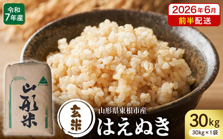 [令和7年産]※2026年6月前半発送※ 玄米 はえぬき30kg 山形県 東根市産 深瀬商店提供 hi053-065-061 (2025年 令和7年 山形 送料無料 東北 玄米 お米 こめ ブランド米 ごはん ご飯 おにぎり 米どころ お取り寄せグルメ)