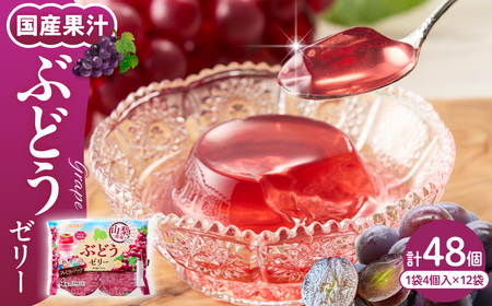 ぶどうゼリー 1袋4個入×12袋 和歌山産業提供 山形県 東根市 hi070-014 ぶどう ブドウ 葡萄 フルーツ 果物 クダモノ くだもの ゼリー おやつ ご褒美 お弁当のお供 ご当地 グルメ お取り寄せ 送料無料 山形県 東根市 ふるさと納税 人気 山梨県産