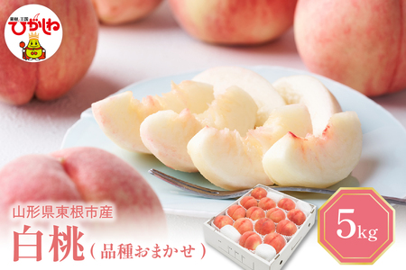 [2025年産 先行予約] 白桃 (品種おまかせ) 5kg 東根農産センター提供 山形県 東根市 hi027-151-1 令和7年産 もも 桃 フルーツ 果物 くだもの 期間限定 冷蔵配送 先行予約 先行受付 2025年 ふるさと納税 取り寄せ グルメ ご当地 特産 産地 直送 送料無料 東北 山形 東根市 人気