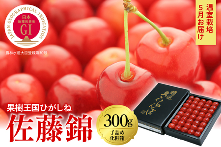 2025年[5月お届け]GI東根さくらんぼ 佐藤錦 特秀品 Lサイズ300g化粧箱詰め 東根農産センター提供 山形県 東根市 hi027-161-1(山形県 東根市 果物 フルーツ サクランボ さくらんぼ 佐藤錦 くだもの 箱入り 化粧箱 箱詰め 期間限定 冷蔵配送 先行予約 令和7年産 取り寄せ グルメ ご当地 特産直送 送料無料 ふるさと納税)