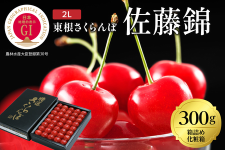 2025年GI東根さくらんぼ「佐藤錦」300g化粧箱詰め(2L) 東根農産センター提供 山形県 東根市 hi027-172-1(山形県 東根市 果物 フルーツ サクぼ 佐藤錦 くだもの 箱入り 化粧箱 化粧箱詰め 期間限定 冷蔵配送 先行予約 令和7年産 取り寄せ ランボ さくらんグルメ ご当地 特産直送 送料無料 ふるさと納税)