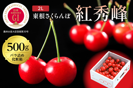 2025年GI東根さくらんぼ 紅秀峰 500gバラ詰め(2L) 東根農産センター提供 hi027-176-1 山形県 東根市 果物 フルーツ サクランボ さくらんぼ 紅秀峰 ジーアイ くだもの バラ詰め 期間限定 冷蔵配送 先行予約 令和7年産 取り寄せ グルメ ご当地 特産直送 送料無料 ふるさと納税